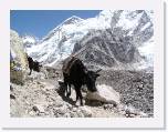 15April05 - EverestTrek 153 * 2048 x 1536 * (687KB)